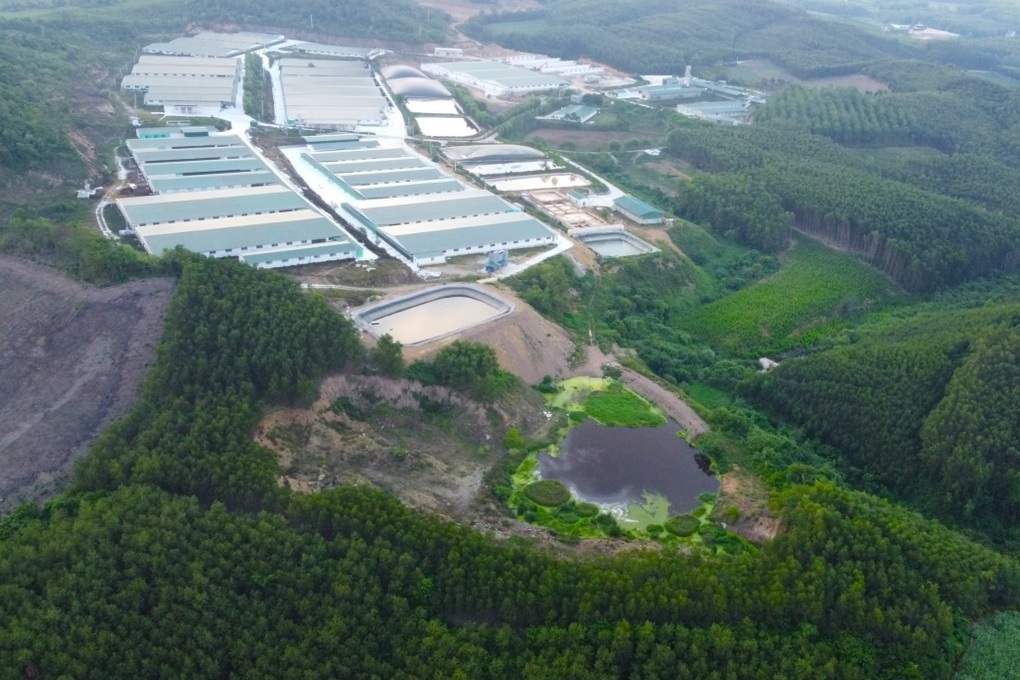 Xử phạt trại lợn tra tấn dân ở Thanh Hóa - 1