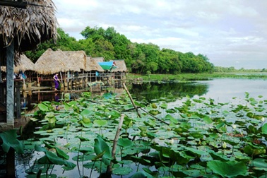 Đầu tư Khu du lịch sinh thái nghỉ dưỡng 100 tỷ đồng tại Trằm Trà Lộc