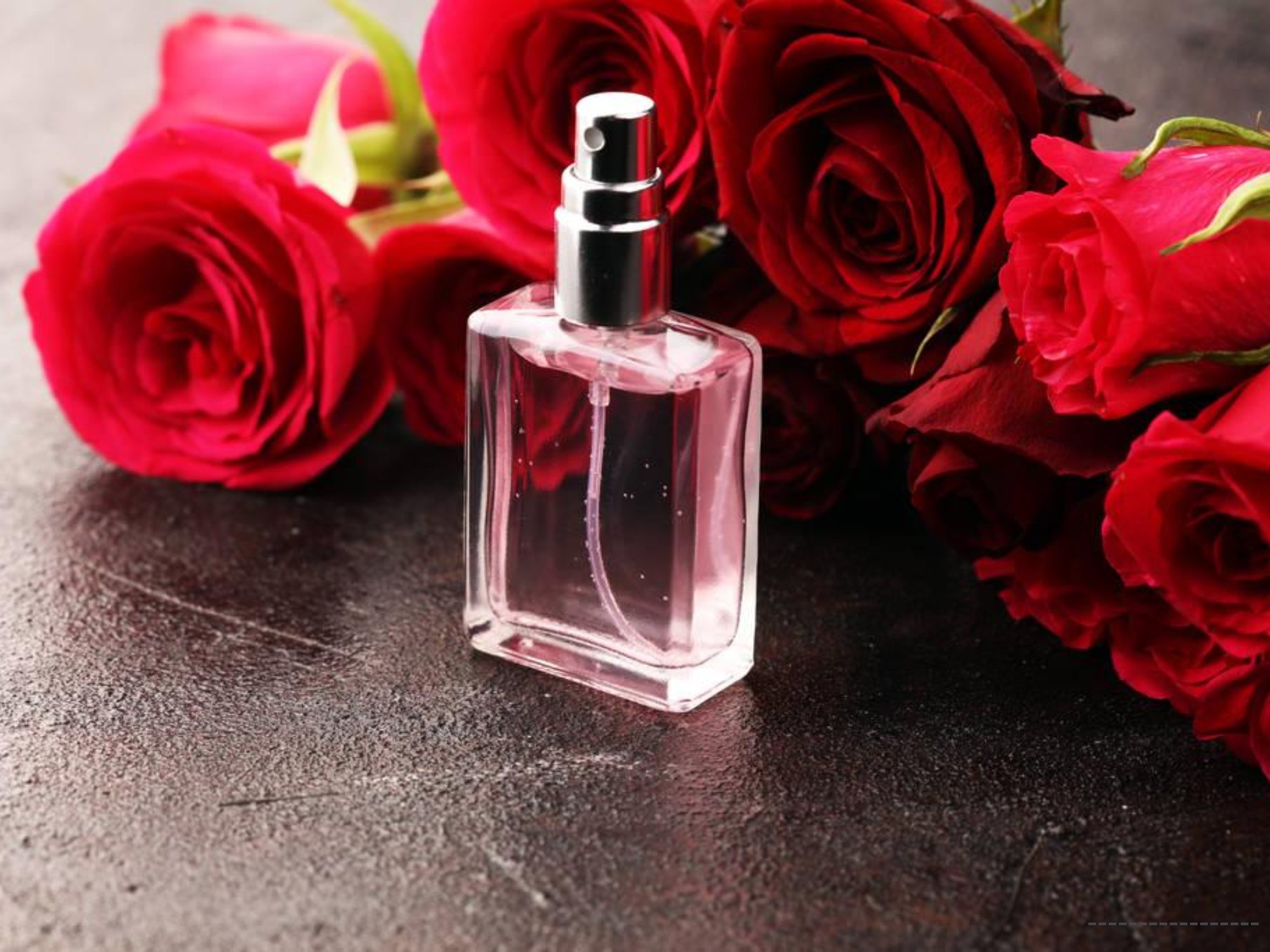 qua valentine (5).jpeg