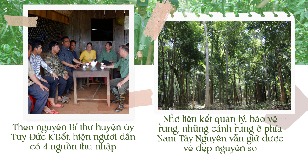Sống khỏe tại nơi từng là điểm nóng về tranh chấp đất rừng - 15 Sống khỏe tại nơi từng là điểm nóng về tranh chấp đất rừng - 15