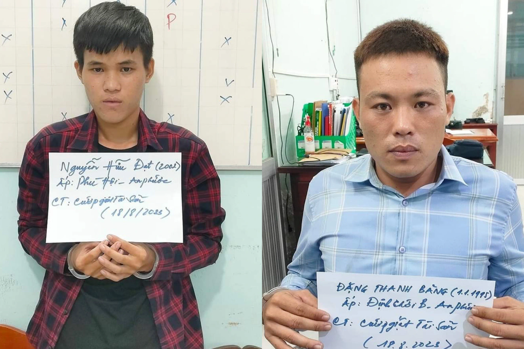 Hai thanh niên xông vào nhà giật điện thoại của bé gái 13 tuổi - 1