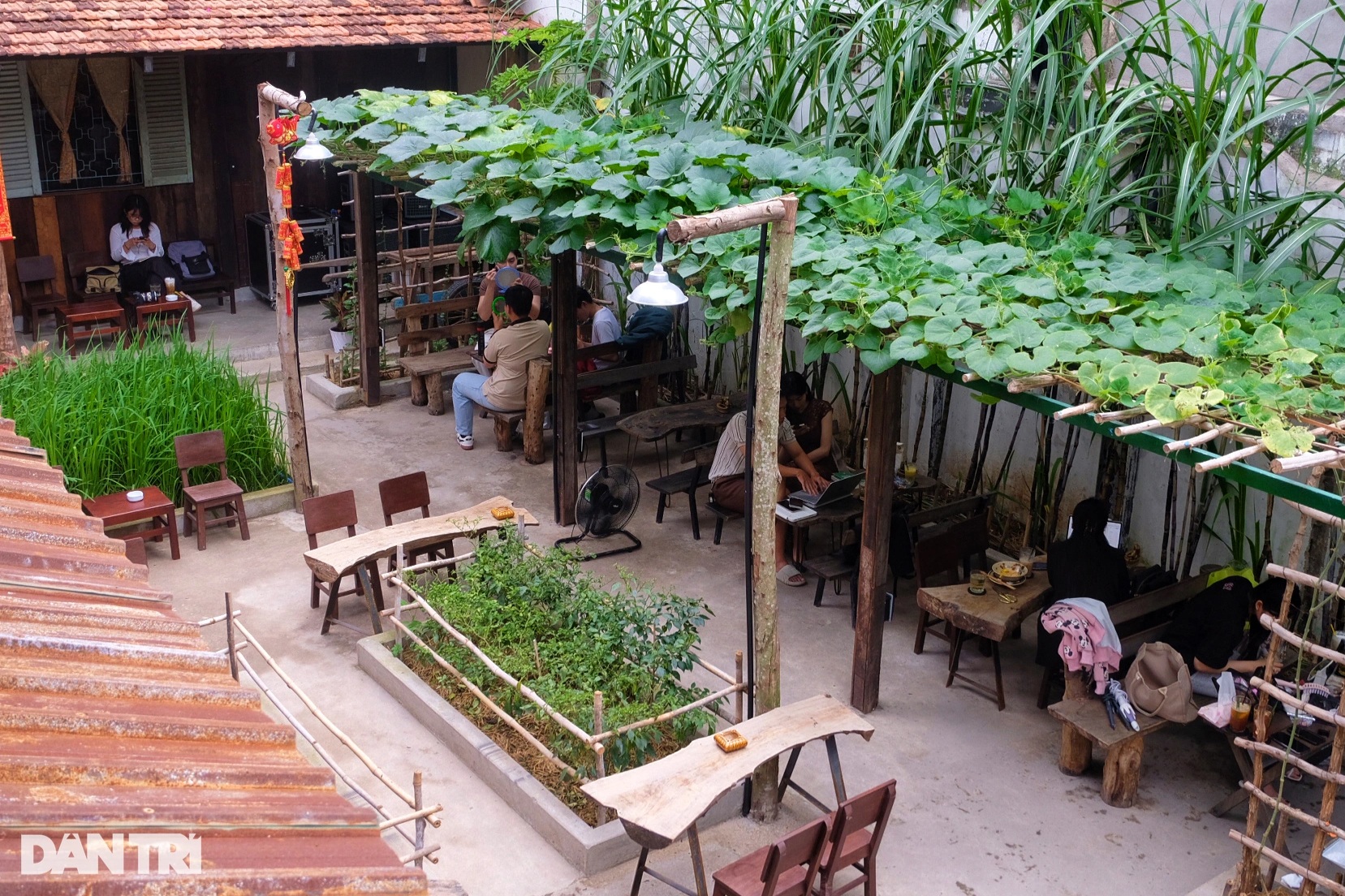 ហាងកាហ្វេនៅ HCMC មានចង្ក្រានឈើ និងគុម្ពឈើ៖ អតិថិជនបើកឡាន 1 ម៉ោងដើម្បីថតរូប - 1 Quán cà phê ở TPHCM có bếp củi, giàn bầu: Khách chạy 1 tiếng đến chụp ảnh - 1