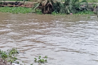 Bé gái 13 tuổi đi bắt ốc đuối nước tử vong