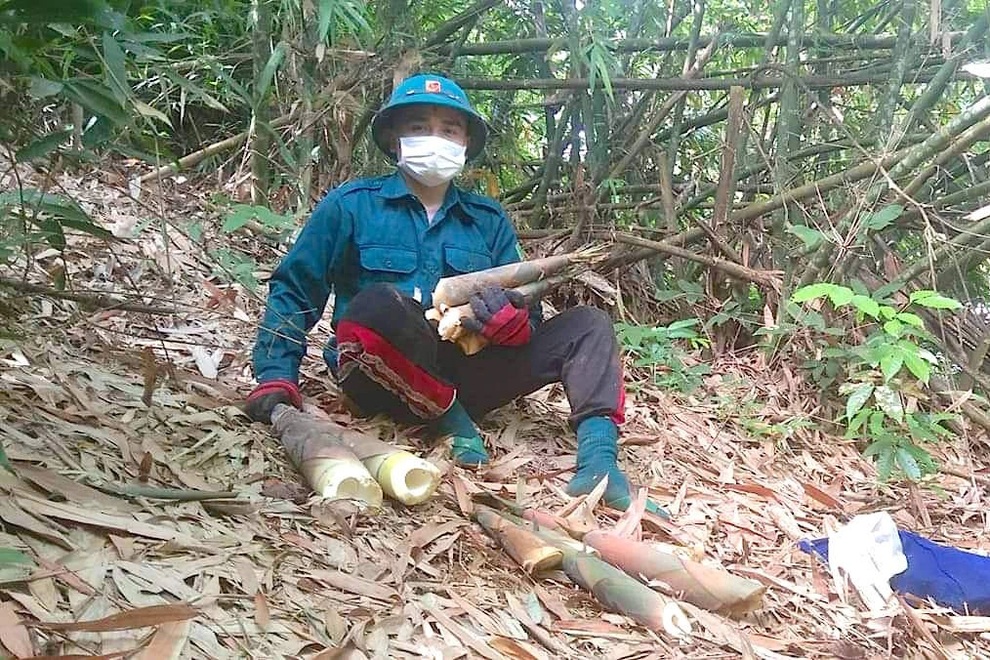 Người dân nghèo biên giới lên rừng hái sản vật ủng hộ khu cách ly - 1 Người dân nghèo biên giới lên rừng hái sản vật ủng hộ khu cách ly - 1