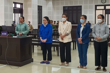 Kế toán trường mầm non giả chữ ký hiệu trưởng để nâng khống tiền lương