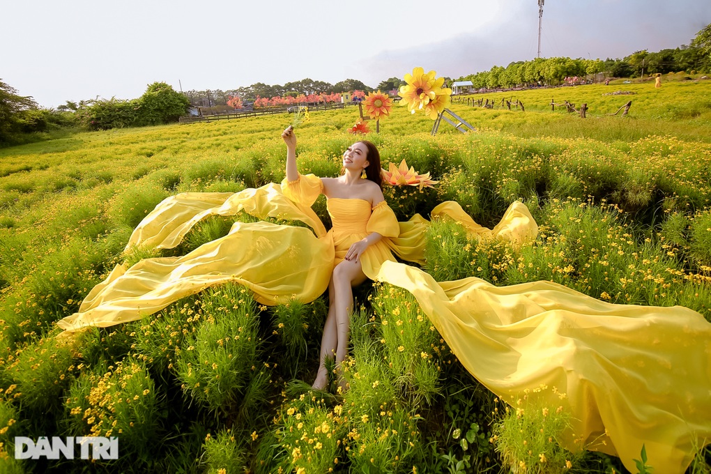 Lạc vào cánh đồng hoa vàng óng như trời Tây ở Hà Nội - 4 Lạc vào cánh đồng hoa vàng óng như trời Tây ở Hà Nội - 4