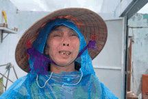 Hình ảnh khốc liệt khi bão số 10 Bualoi quét qua miền Trung