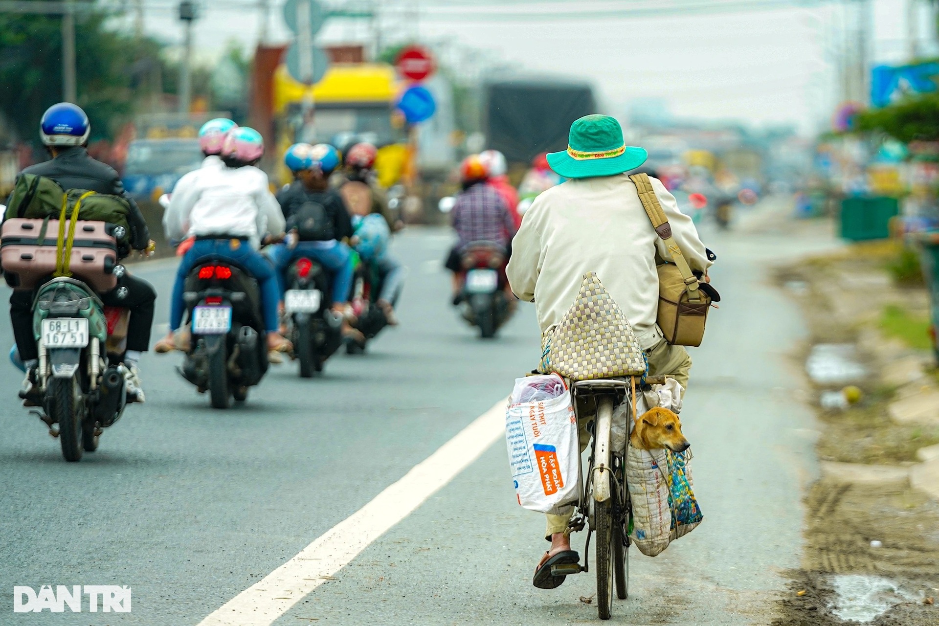 Rưng rưng cảnh lão Hạc đạp xe chở cậu  Vàng từ TPHCM về quê Bến Tre - 1