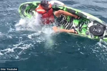 Rùng mình cảnh người đàn ông bị cá mập tấn công khi đang chèo thuyền