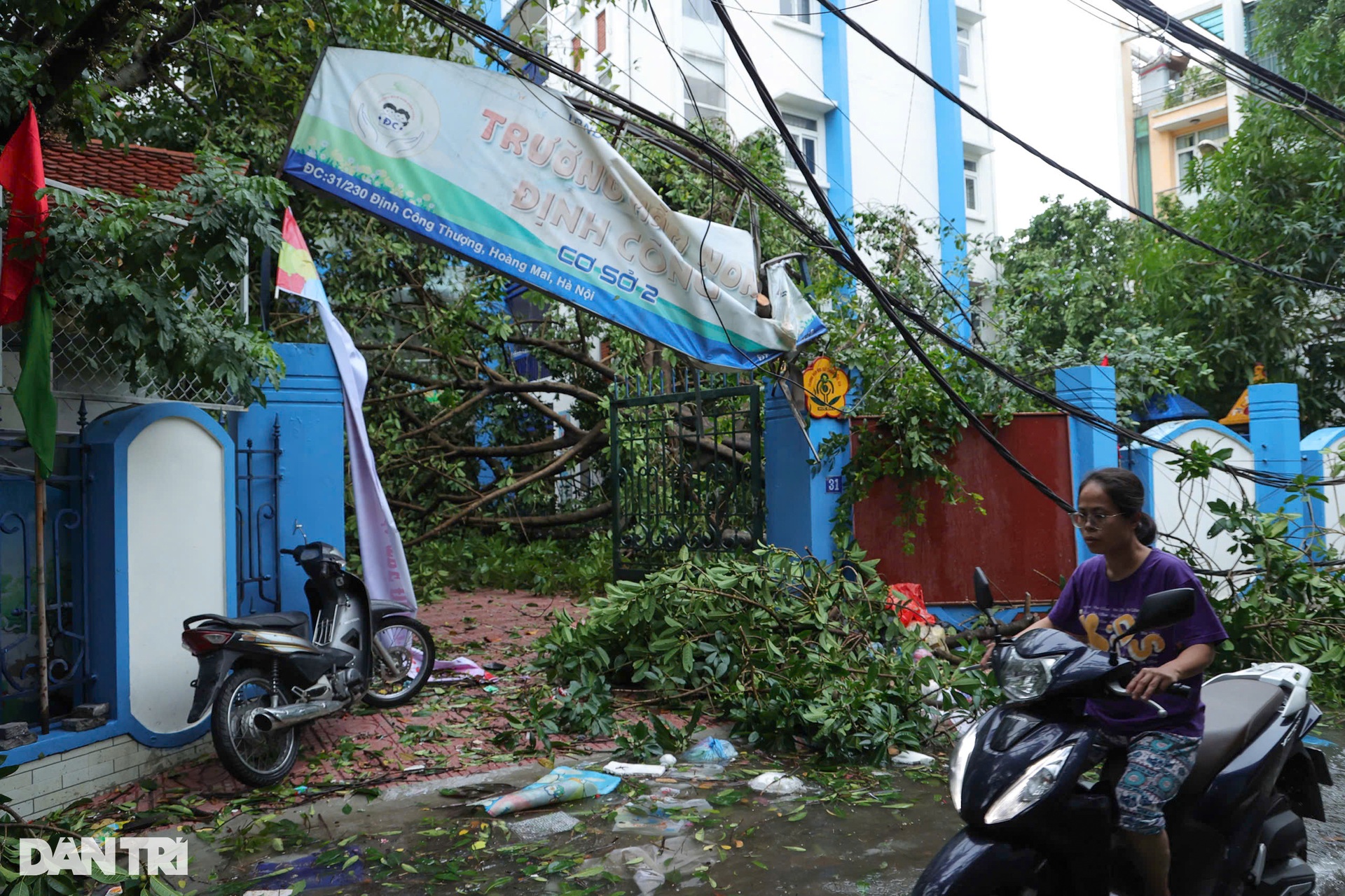 Cây đổ la liệt khắp đường phố Hà Nội - 23