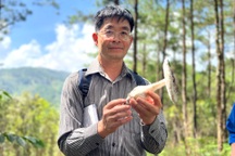 Người dân vào rừng thu "lộc trời", chuyên gia cảnh báo