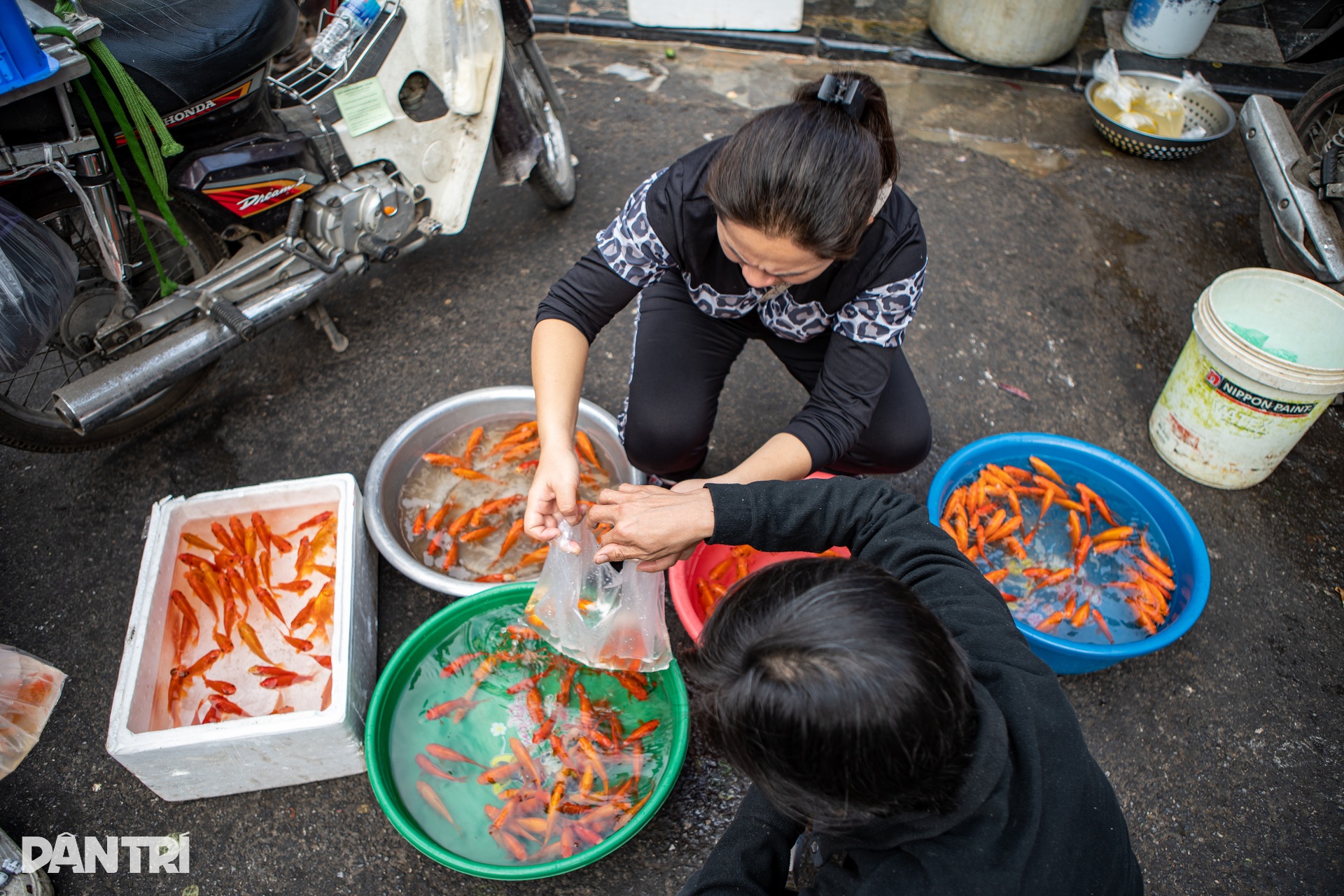 Biển người đổ về chợ nhà giàu, người Hà Nội chen chân mua đồ cúng - 12