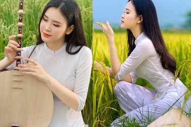 Á khôi Sinh viên Việt Nam khoe nét xuân thì bên cánh đồng lúa