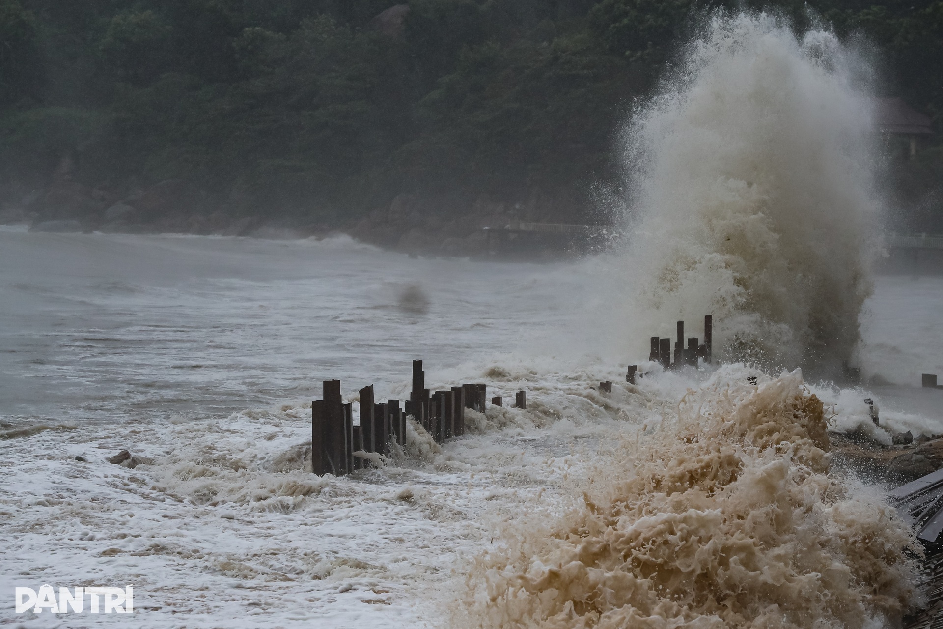 Muôn kiểu chằng chống nhà cửa của người dân miền Trung trước giờ bão đổ bộ - 14 Muôn kiểu chằng chống nhà cửa của người dân miền Trung trước giờ bão đổ bộ - 14