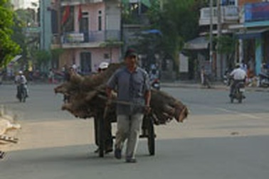 Một ngày làm phu kéo xe