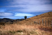 Cuộc sống của du học sinh màu gì?