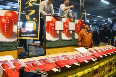 Choáng với những “siêu phẩm” trái cây Nhật Bản có giá khiến "nhà giàu cũng khóc"