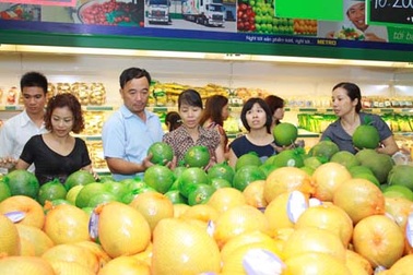 Tưng bừng lễ hội “Tôn vinh sản phẩm Việt”  tại Metro