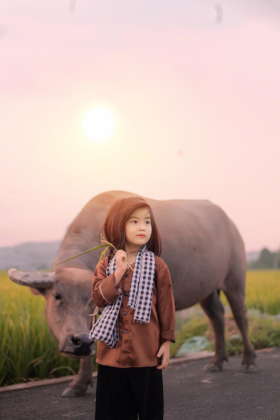 Bé gái xinh như thiên thần trên cánh đồng mùa lúa trổ bông - 5 Bé gái xinh như thiên thần trên cánh đồng mùa lúa trổ bông - 5