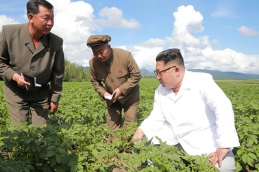 Triều Tiên thừa nhận thiếu lương thực trầm trọng, nguy cơ đối mặt nạn đói