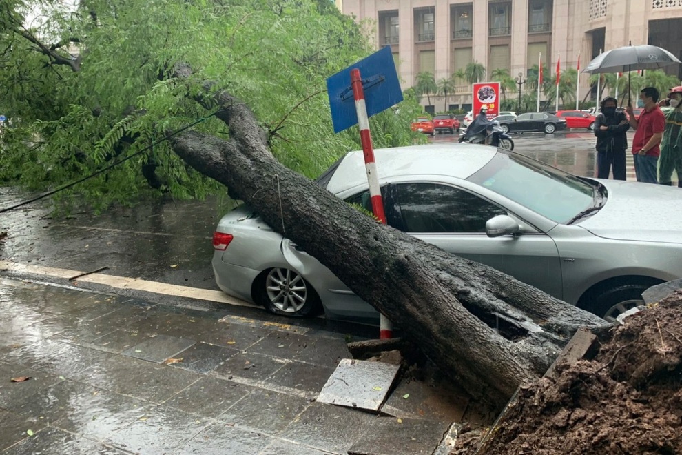 Cây me cổ thụ bật gốc đè bẹp xe Camry trong cơn mưa lớn ở Hà Nội - 1 Cây me cổ thụ bật gốc đè bẹp xe Camry trong cơn mưa lớn ở Hà Nội - 1