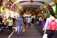 Khuyến khích dùng túi cói thay túi nhựa nhưng bán giá 20.000 đồng/chiếc