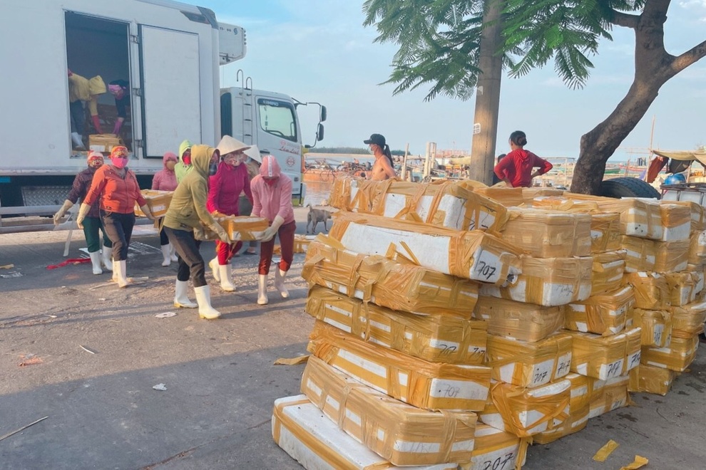 Doanh nghiệp mất tiền tỷ vì không thể xuất khẩu hải sản sang Trung Quốc - 1 Doanh nghiệp mất tiền tỷ vì không thể xuất khẩu hải sản sang Trung Quốc - 1
