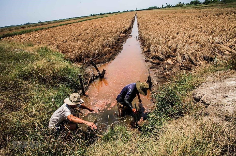 “Hạn hán, xâm nhập mặn còn kéo dài, diễn biến khó lường” - 1 “Hạn hán, xâm nhập mặn còn kéo dài, diễn biến khó lường” - 1