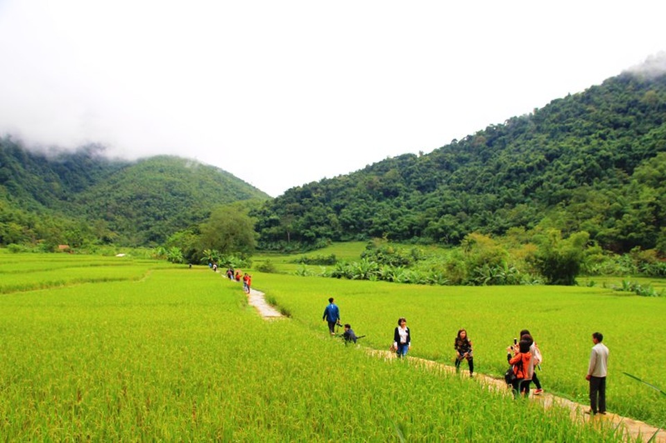 Lượng khách du lịch đến Thanh Hóa giảm mạnh - 1 Lượng khách du lịch đến Thanh Hóa giảm mạnh - 1