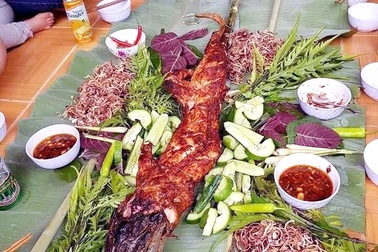 Cá sấu nguyên con rẻ như rau, nướng ăn liền ngày bán 2 tạ