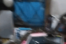 Thế giới động vật: Trăn cỡ lớn bất ngờ chui lên từ ống thoát nước nhà bếp