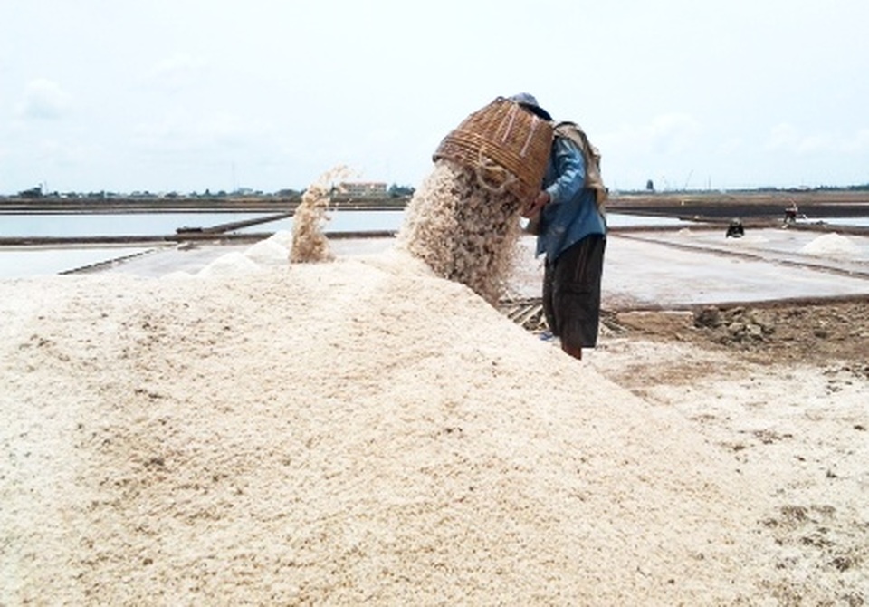 Nghề làm muối ở Bạc Liêu vào Di sản văn hóa phi vật thể Quốc gia - 1 Nghề làm muối ở Bạc Liêu vào Di sản văn hóa phi vật thể Quốc gia - 1