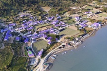 Hòn đảo vô danh bỗng chốc thành thiên đường du lịch vì được "nhuộm" tím