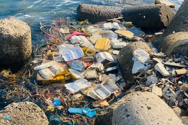 Phú Quốc báo động ô nhiễm môi trường trước thềm APEC 2027