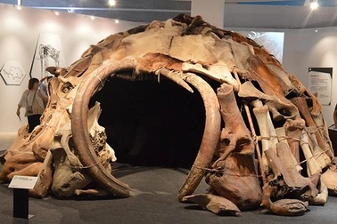 Những phát hiện tình cờ nhưng mang tính đột phá trên thế giới