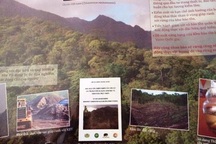 Bài 6: Đề nghị xử lý trách nhiệm chính quyền huyện Sơn Động vụ phá hơn 20 ha rừng