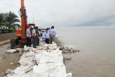 Khảo sát tình hình sạt lở kè đê biển Bạc Liêu