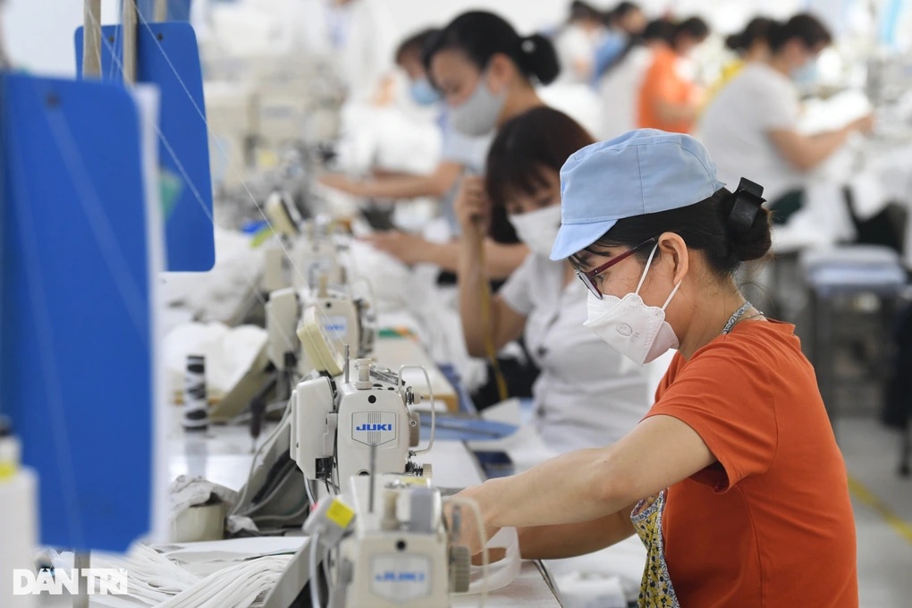 Lão tướng FPT hé lộ bí kíp để một doanh nghiệp phát triển trường tồn - 2 Lão tướng FPT hé lộ bí kíp để một doanh nghiệp phát triển trường tồn - 2