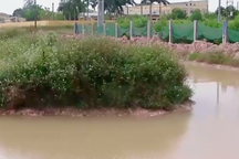 Vụ 3 em nhỏ chết đuối thương tâm: Mương nước "tử thần" cố tình được tạo ra thế nào?