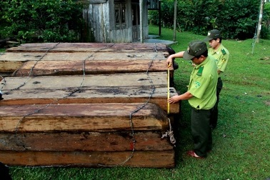 Phạt nặng đối tượng vận chuyển lâm sản trái phép