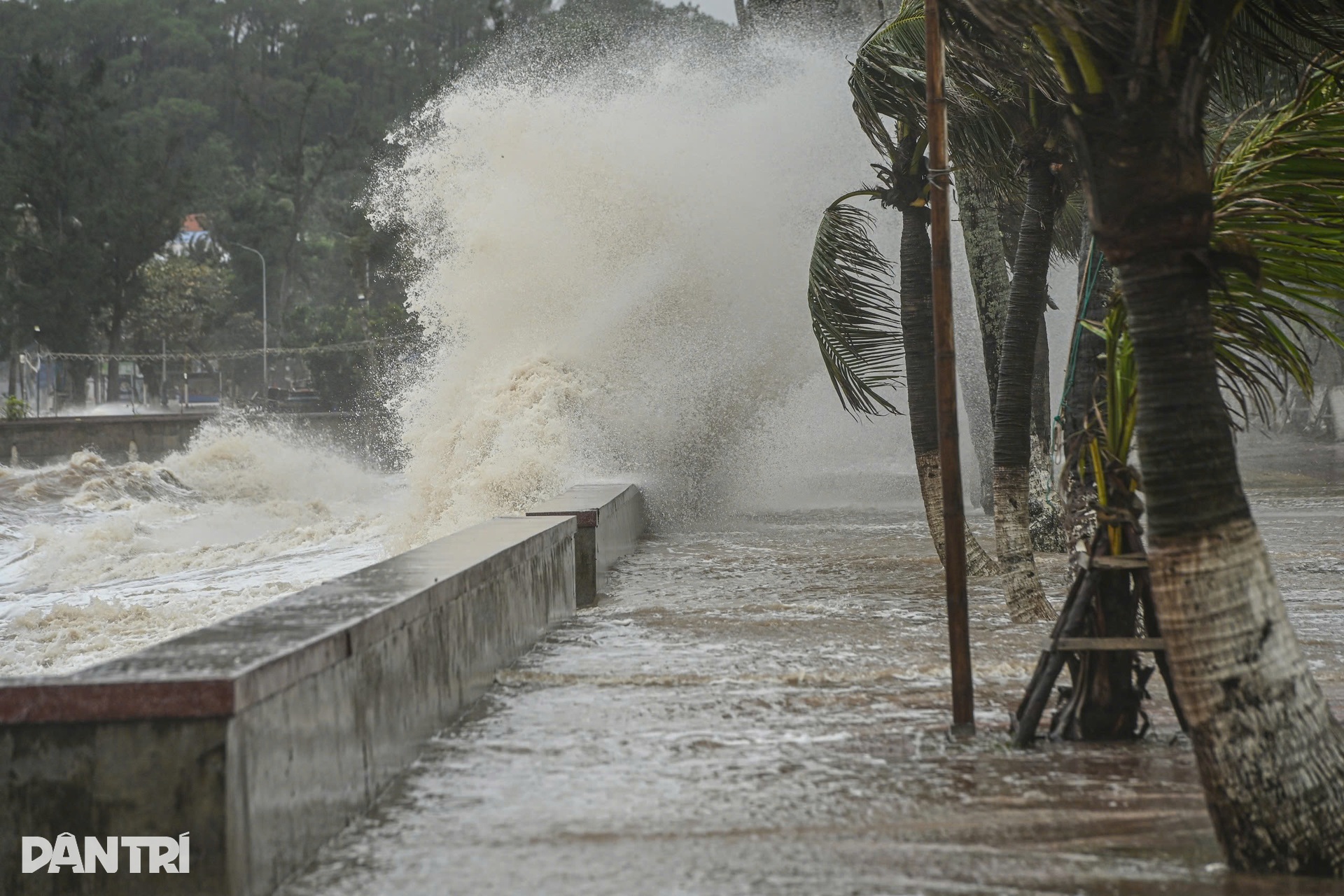 Sóng biển Đồ Sơn cao 8m, xe cảnh sát hú còi nhắc dân về nơi an toàn - 5