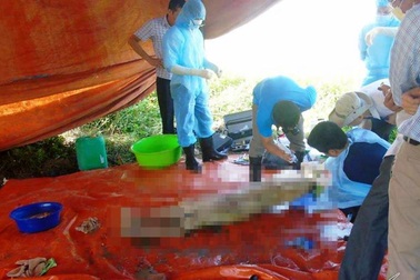 Cái chết bất thường của nữ kế toán: Những tình tiết “giật mình” từ cuộc khai quật