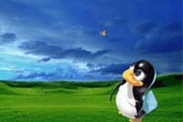 Microsoft học cách "sống chung" với Linux 