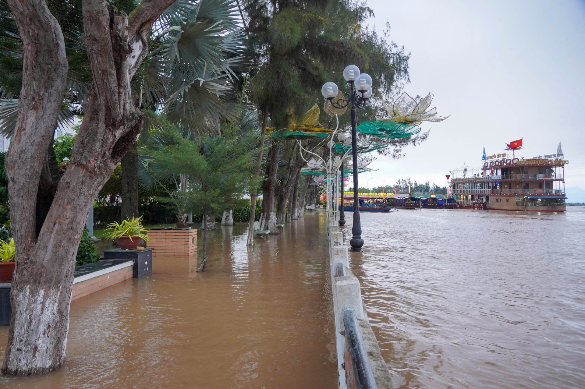 Người Cần Thơ đội mưa, lội nước về nhà trong ngày triều cường vượt báo động - 10