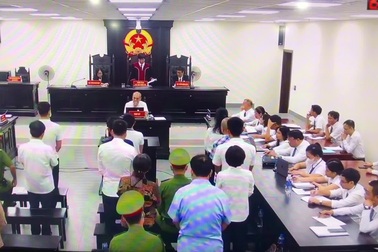 Tuyên án ông Nguyễn Đức Chung và 14 bị cáo trong vụ án cây xanh