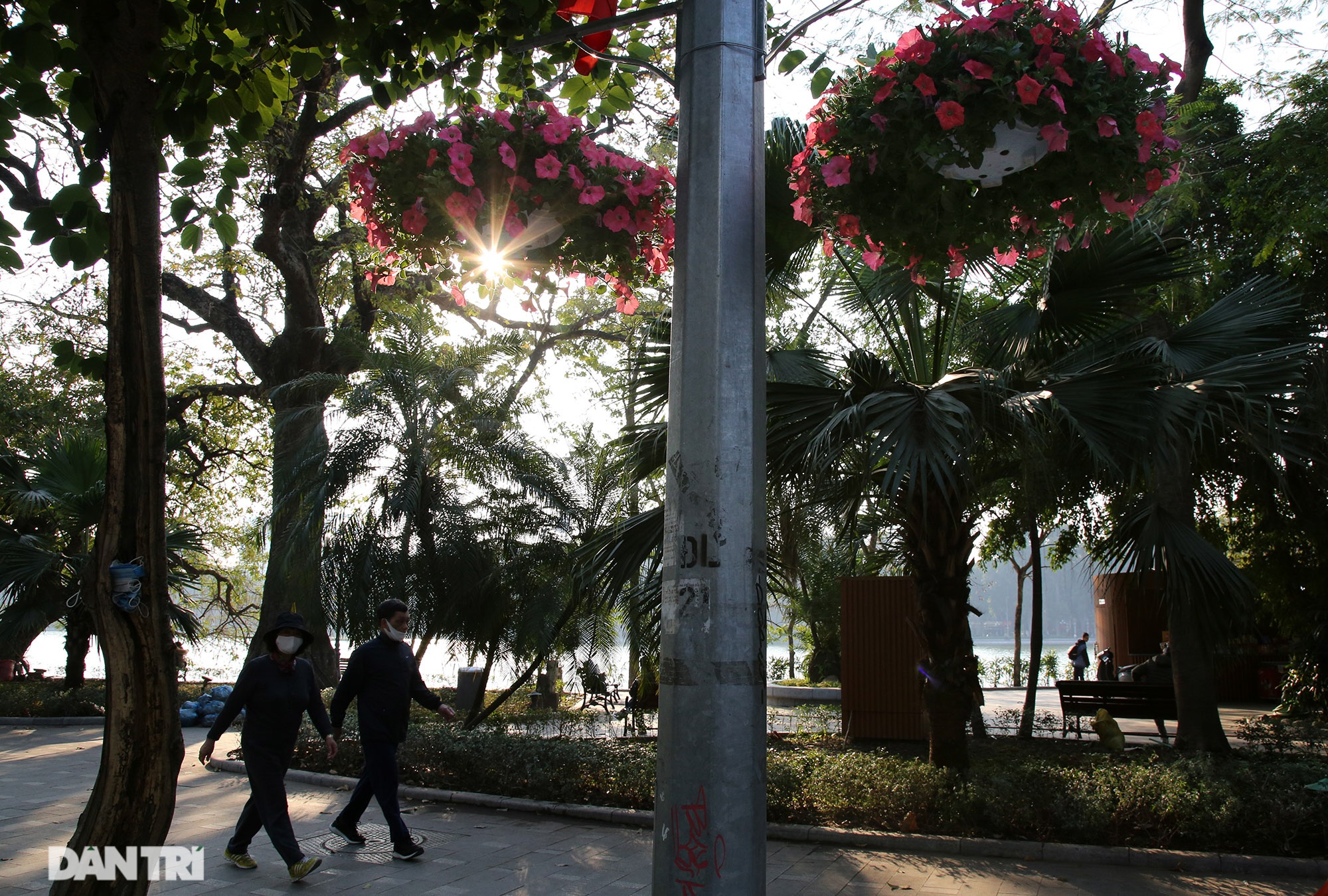 Hồ Gươm trang trí hoa rực rỡ sắc màu chào mừng Đại hội XIII của Đảng - 5 Hồ Gươm trang trí hoa rực rỡ sắc màu chào mừng Đại hội XIII của Đảng - 5