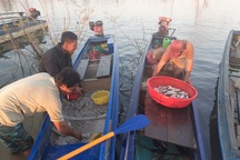 "Chông chênh" cuộc sống mưu sinh ở lòng hồ thủy lợi