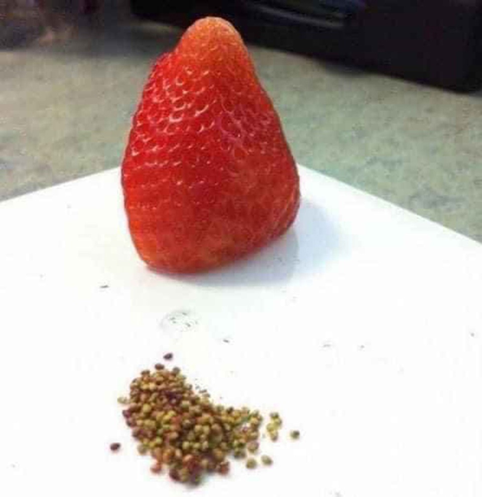 Đăng ảnh tiêu khiển mùa dịch, dân mạng khuyên tìm việc có ích mà làm - 7 Đăng ảnh tiêu khiển mùa dịch, dân mạng khuyên tìm việc có ích mà làm - 7