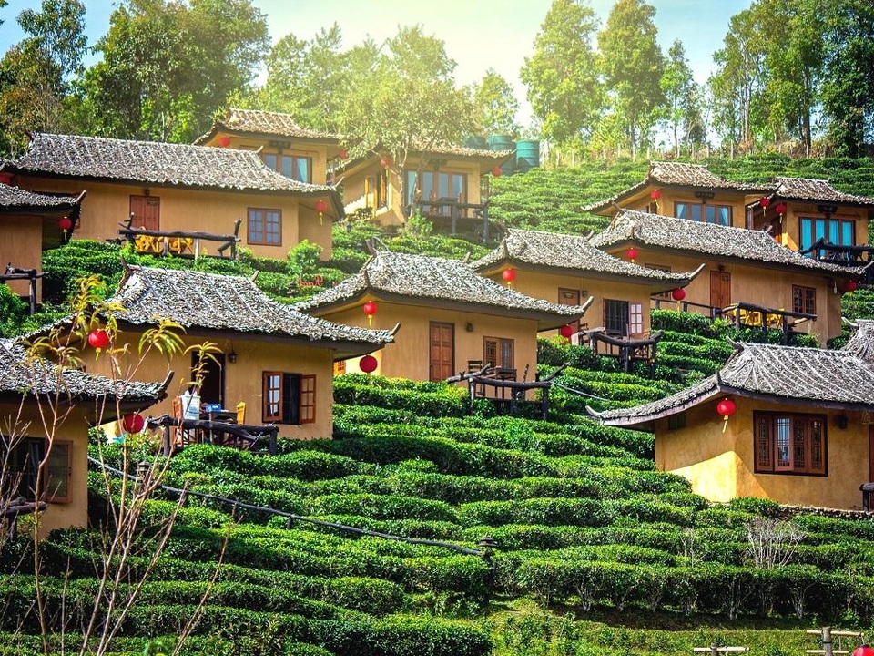 Ngôi làng ẩn hiện trong mây, nằm giữa đồi chè đẹp như cổ tích ở Thái Lan - 1 Ngôi làng ẩn hiện trong mây, nằm giữa đồi chè đẹp như cổ tích ở Thái Lan - 1