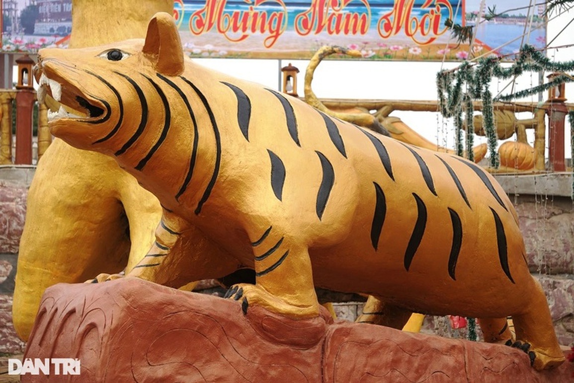 Bình chọn hoa hậu hổ hài hước: Hổ ngờ nghệch và hổ linh cẩu tranh ngôi - 4 Bình chọn hoa hậu hổ hài hước: Hổ ngờ nghệch và hổ linh cẩu tranh ngôi - 4
